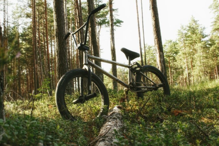 Vélo BMX noir posé contre un tronc dans une forêt